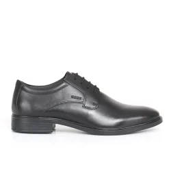 Uomo GEOX Stringate<Gladwin stringata