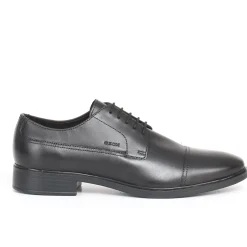 Uomo GEOX Stringate<Gladwin stringata